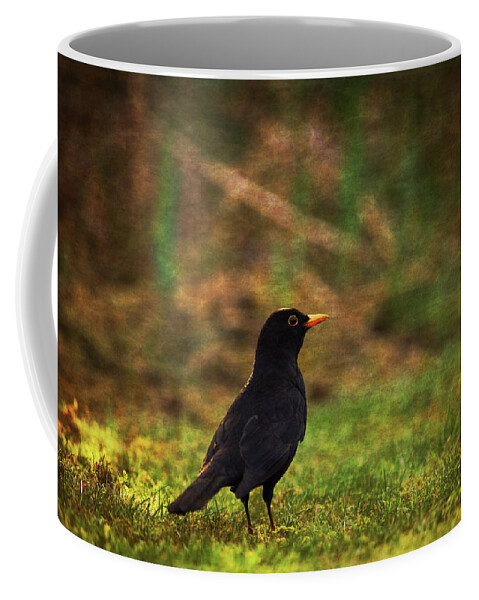 Wildlife Coffee Mug featuring the photograph Solitary Blackbird by Tikvah's Hope
