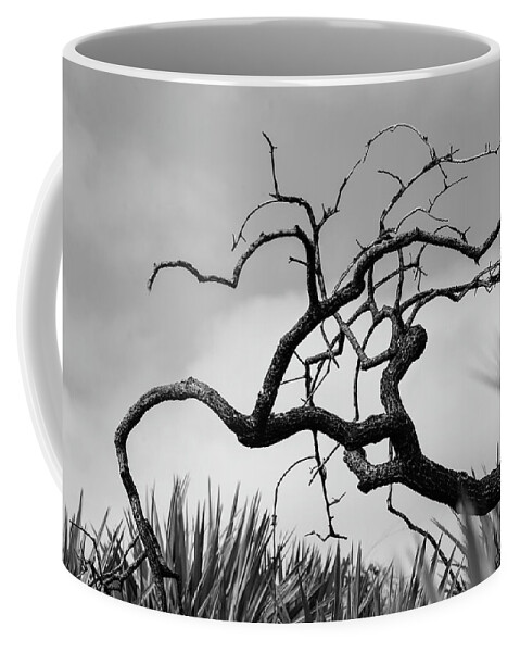 Tree Coffee Mug featuring the photograph Something Wicked by Valerie Cason