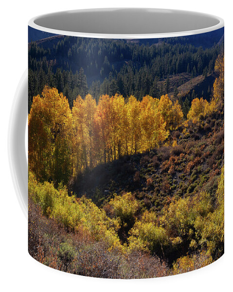 Sonora Pass Coffee Mug featuring the photograph Sonora Pass by Tassanee Angiolillo