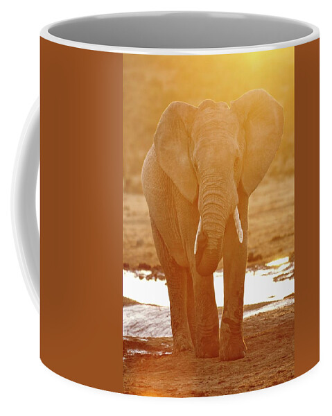 Estock Coffee Mug featuring the digital art South Africa, Eastern Cape, Addo Elephant National Park, Sundays River Valley, African Elephant (loxodonta Africana) by Richard Taylor