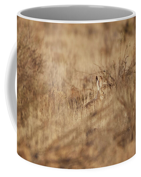 Desert Rabbit Coffee Mug featuring the photograph Southwest Bunny by Robert WK Clark