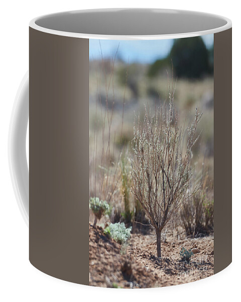 New Mexico Desert Coffee Mug featuring the photograph Southwest Desert Ground View by Robert WK Clark