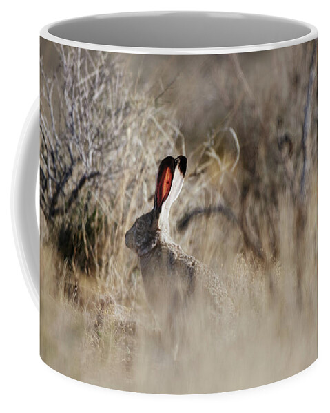 Desert Rabbit Coffee Mug featuring the photograph Southwest Desert Hare by Robert WK Clark