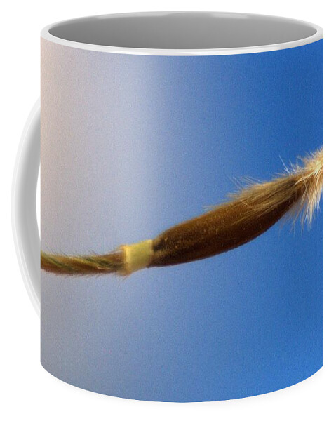 Spear Coffee Mug featuring the photograph Spear of Life Continuity by Ivars Vilums
