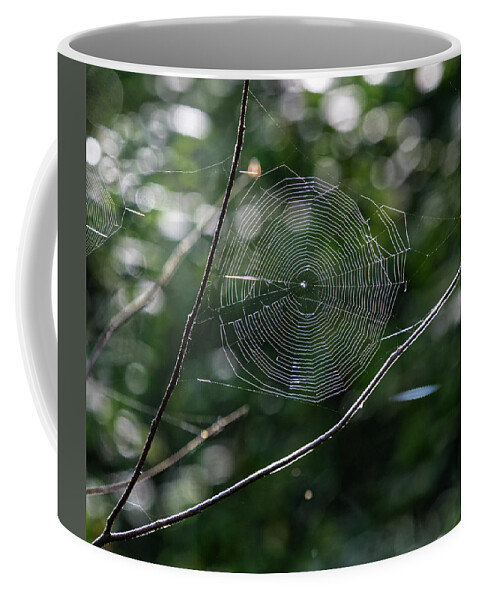 Animal Coffee Mug featuring the photograph Spider Web by Paul Ross