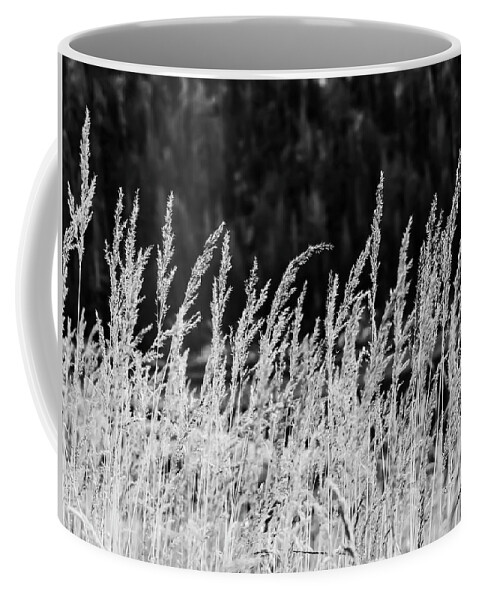 Outdoors Coffee Mug featuring the photograph Spikes by Silvia Marcoschamer