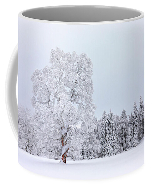 Winter Coffee Mug featuring the photograph Spirals by Dominique Dubied