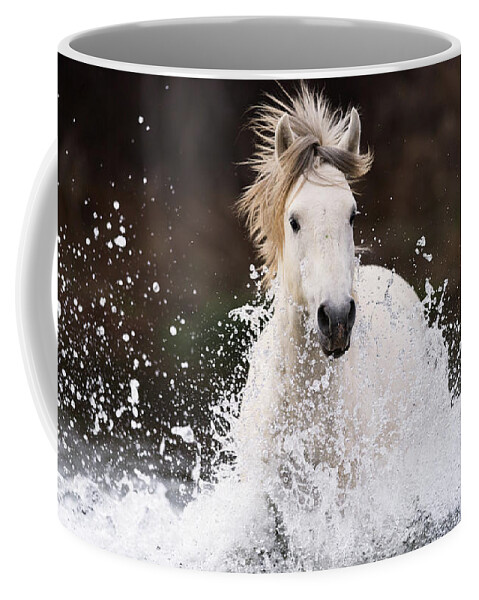 Action Coffee Mug featuring the photograph Splashing Horse by Shannon Hastings