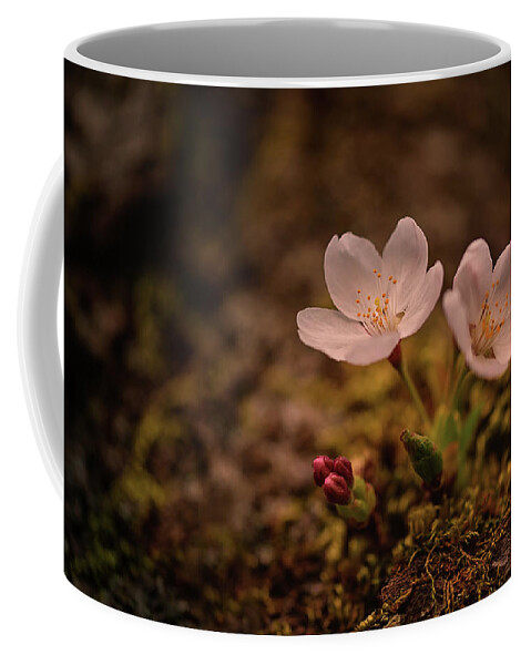 University Of Washington Coffee Mug featuring the photograph Spring Arrival in Seattle by Dan Mihai