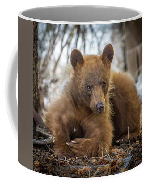 Bear Coffee Mug featuring the photograph Spring Bloom by Kevin Dietrich