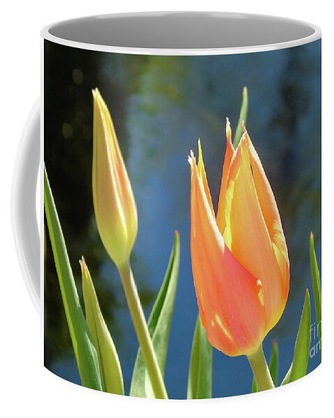 Flower Coffee Mug featuring the photograph Spring Tulip by Susan Lafleur
