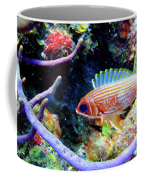 Squirrelfish Coffee Mug featuring the photograph Squirrel Fish by Climate Change VI