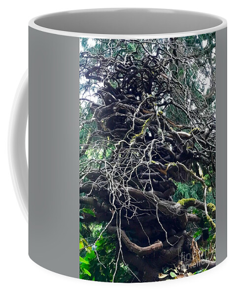 Tree Coffee Mug featuring the photograph Stacked Tree by Suzanne Lorenz