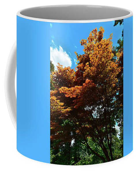 Photograph Coffee Mug featuring the photograph Stand Out by Kelly Thackeray