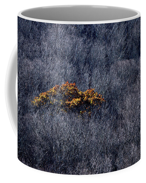 Color Coffee Mug featuring the photograph Stand Out by Lisa Burbach