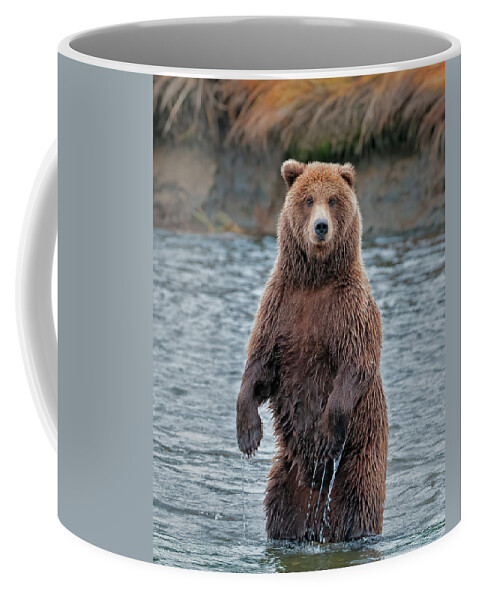 Standing Bear Coffee Mug by Gary Langley - Pixels