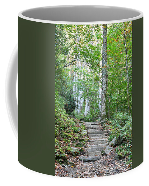 Tennessee Coffee Mug featuring the photograph Steps Up Into The Forest 1 by Phil Perkins