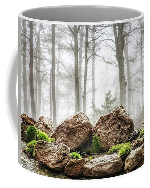 Fog Coffee Mug featuring the photograph Still Life - Jo Ann Tomaselli by Jo Ann Tomaselli