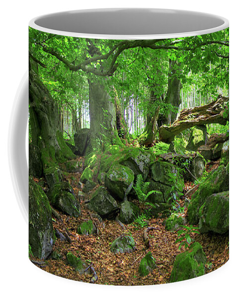 Forest Coffee Mug featuring the photograph Stony forest by Sun Travels