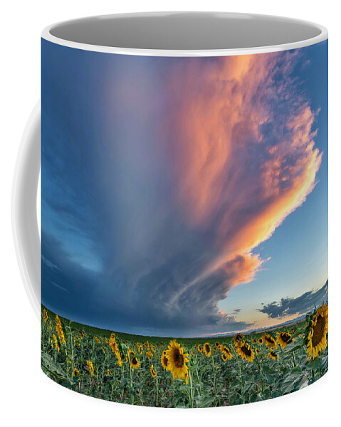 Storm Clouds Coffee Mug featuring the photograph Storm Clouds and Sunflowers by Rand Ningali