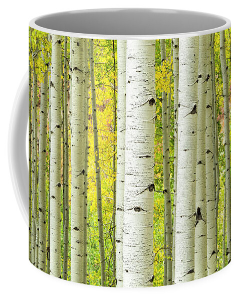 Aspens Coffee Mug featuring the photograph Straight and Narrow by Denise Bush