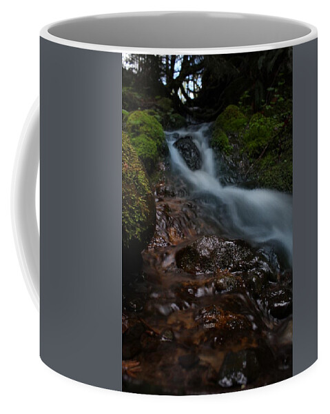 Water Coffee Mug featuring the photograph Stream by Noah Mahlon