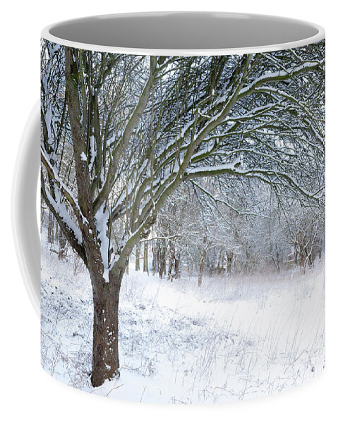 Norfolk Coffee Mug featuring the photograph Stunning forest snow winter scene by Simon Bratt