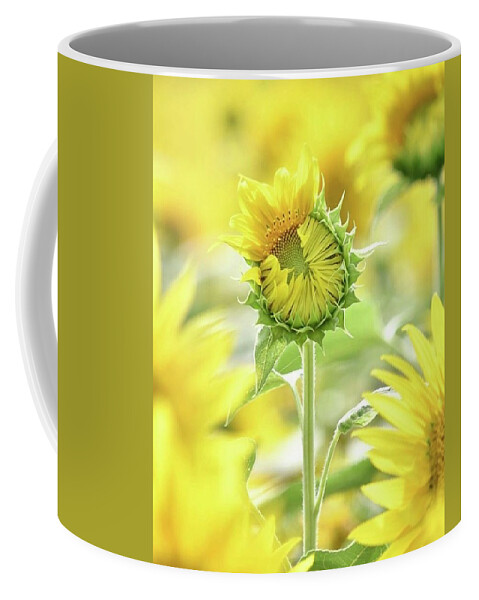 Sunflower Coffee Mug featuring the photograph Sumertime by Carolyn Mickulas