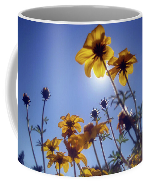 Yellow Flowers Coffee Mug featuring the photograph Summer Sky Flowers 2 by Jaeda DeWalt