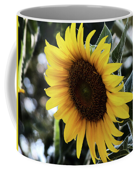 Flower Coffee Mug featuring the digital art Sun flower by Yenni Harrison