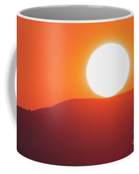 Sunshine Coffee Mug featuring the photograph Sun Shine Daydream by Xine Segalas