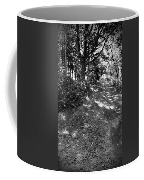 Dirt Road Coffee Mug featuring the photograph Sunspots on a Dirt Road by Debra Grace Addison
