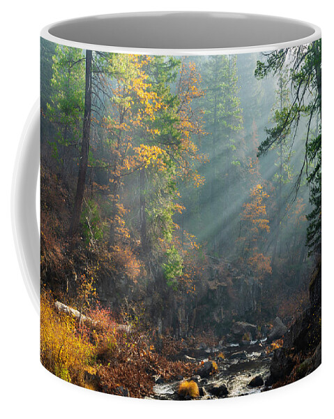 Mccloud Coffee Mug featuring the photograph Sunbeams on the McCloud River by Don Hoekwater Photography