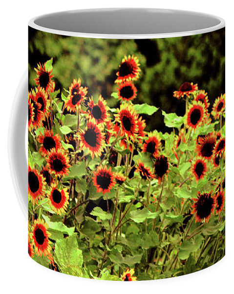 Flowers Coffee Mug featuring the photograph Sunflower Field by Elaine Manley