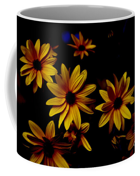 Jerusalem Coffee Mug featuring the photograph Sunflowers in the Shadows by Debra Banks