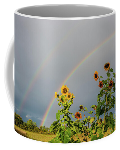 Cheryl Baxter Photography Coffee Mug featuring the photograph Sunflowers Under the Rainbow by Cheryl Baxter