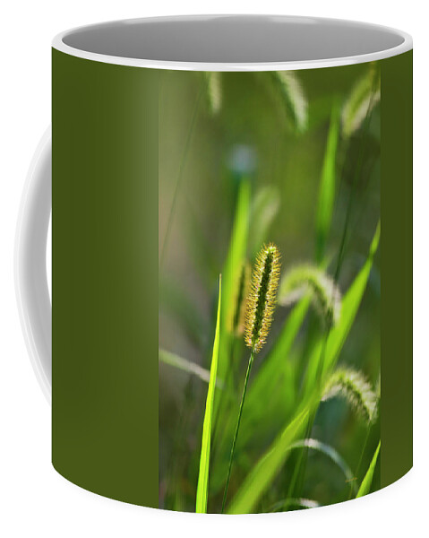 Green Coffee Mug featuring the photograph Sunlit Grass by Christina Rollo