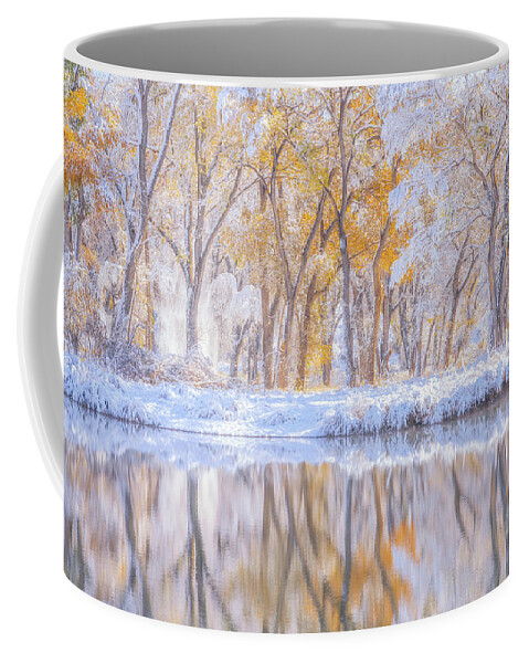 Christmas Cards Coffee Mug featuring the photograph Sunlit Seasons by Darren White