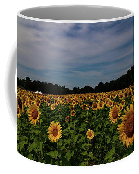 Sunflowers Coffee Mug featuring the photograph Sunny Faces in New Hampshire by Jeff Folger