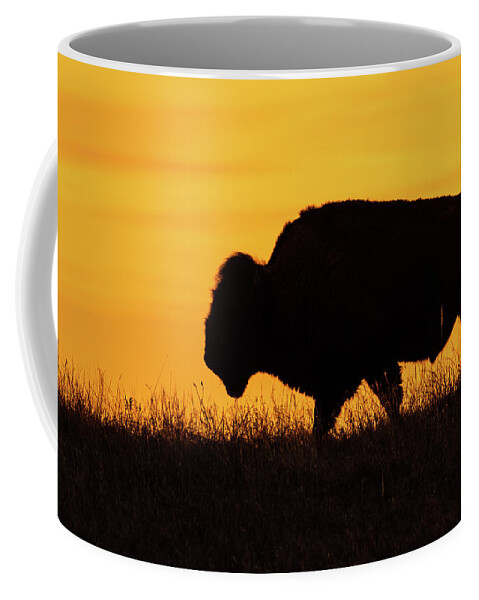 Jay Stockhaus Coffee Mug featuring the photograph Sunrise Bison by Jay Stockhaus