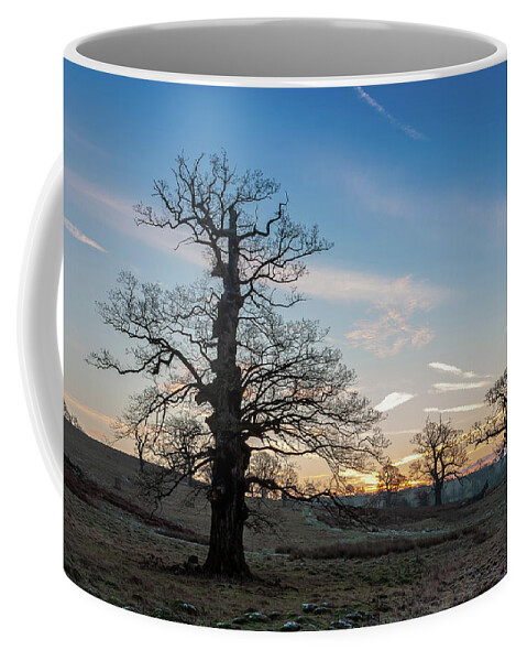 Skyporn Coffee Mug featuring the photograph Sunrise by Dorian Drozdowski