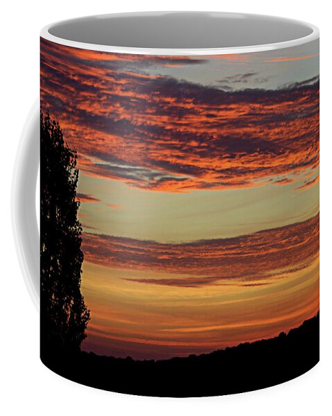 Sunrise Coffee Mug featuring the photograph Sunrise in Stambolovo by Martin Smith