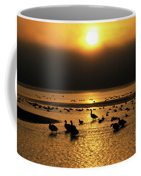 Bird Coffee Mug featuring the photograph Sunrise Rathtrevor Beach 5 by Bob Christopher