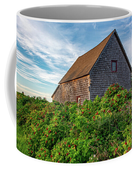 Seacow Head Coffee Mug featuring the photograph Sunset at Seacow Head Two by Douglas Wielfaert