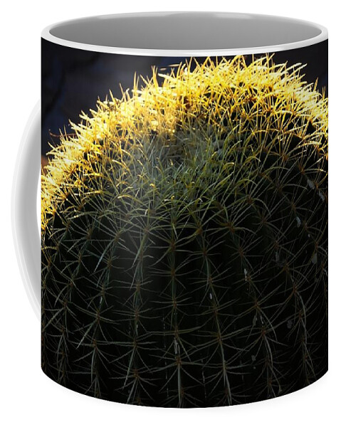  Coffee Mug featuring the photograph Sunset Cactus by Susie Rieple