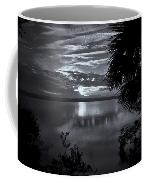 Barberville Roadside Yard Art And Produce Coffee Mug featuring the photograph Sunset In Black And White by Tom Singleton