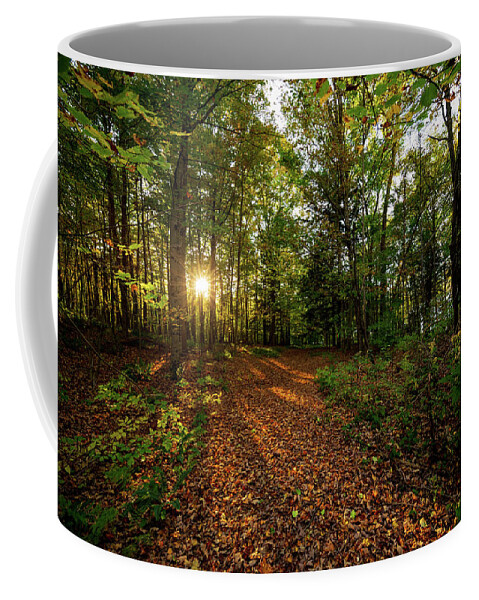 Sunset Coffee Mug featuring the photograph Sunset in the forrest #1381 by Michael Fryd