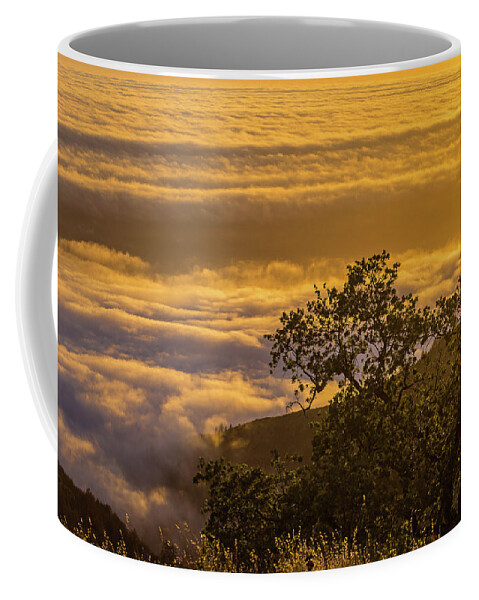 Clouds Coffee Mug featuring the photograph Sunset over the clouds, Los Padres National Forest, California by Julieta Belmont