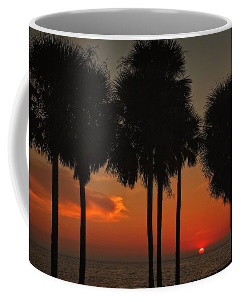 Sunset Coffee Mug featuring the photograph Sunset over the Gulf by Ronald Lutz
