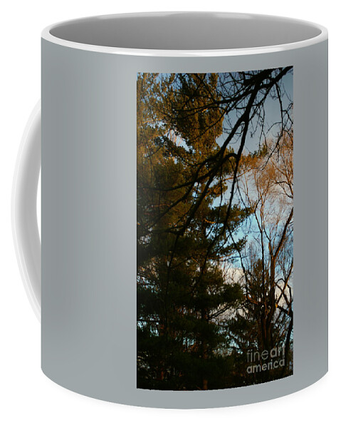 Nature Coffee Mug featuring the photograph Sunset Through the Branches by Frank J Casella